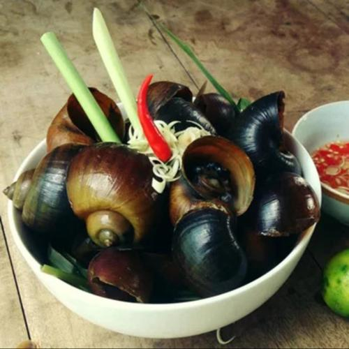Ốc Bươu Hấp Xả